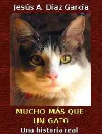 Portada libro gato